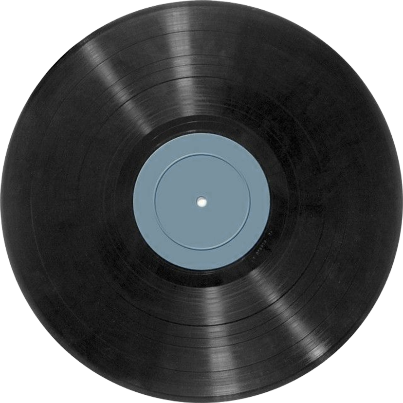 vinyl ai skills page button